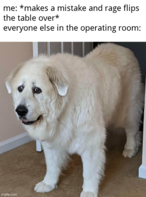 wow | image tagged in worried dog | made w/ Imgflip meme maker