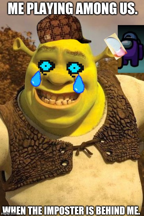 Smiling Shrek | ME PLAYING AMONG US. WHEN THE IMPOSTER IS BEHIND ME. | image tagged in smiling shrek | made w/ Imgflip meme maker