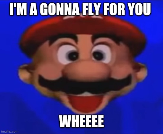 Mario type head | I'M A GONNA FLY FOR YOU; WHEEEE | image tagged in mario type head,memes,funny | made w/ Imgflip meme maker
