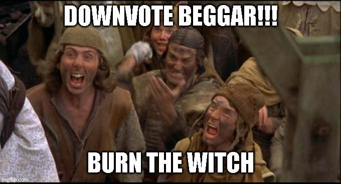 Burn the Witch! | DOWNVOTE BEGGAR!!! BURN THE WITCH | image tagged in burn the witch | made w/ Imgflip meme maker