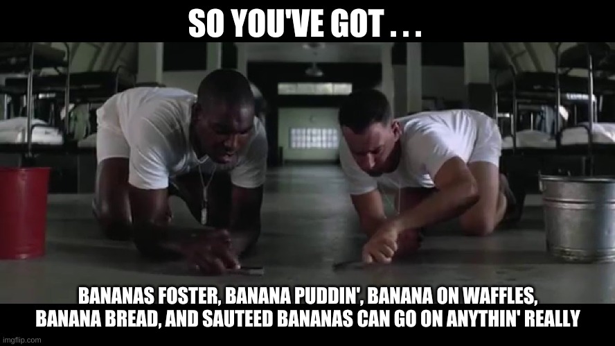 FORREST GUMP BANANA MEME | SO YOU'VE GOT . . . BANANAS FOSTER, BANANA PUDDIN', BANANA ON WAFFLES, BANANA BREAD, AND SAUTEED BANANAS CAN GO ON ANYTHIN' REALLY | image tagged in funny | made w/ Imgflip meme maker