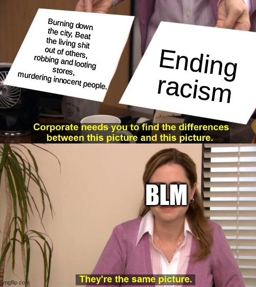 blm | Burning down the city, Beat the living shit out of others, robbing and looting stores, murdering innocent people. Ending racism; BLM | image tagged in they are the same picture,liberal logic,blm,all lives matter | made w/ Imgflip meme maker