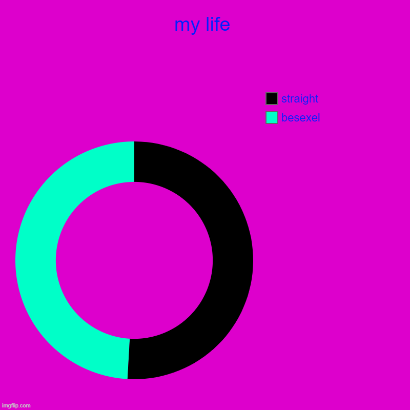 my life | besexel, straight | image tagged in charts,donut charts | made w/ Imgflip chart maker