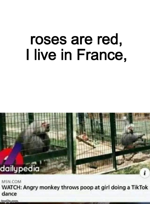 She deserved it. | roses are red,
I live in France, | image tagged in blank white template | made w/ Imgflip meme maker