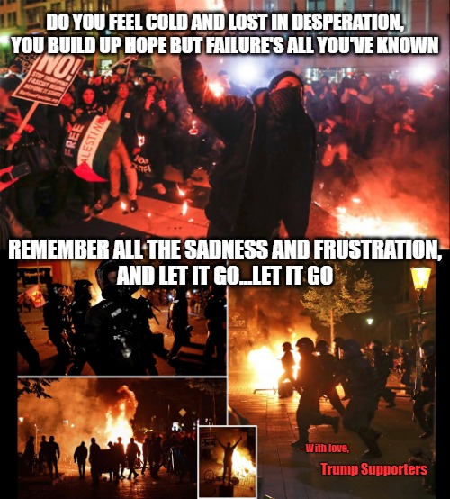 For ANTIFA and Black Lives Matter... | DO YOU FEEL COLD AND LOST IN DESPERATION, YOU BUILD UP HOPE BUT FAILURE'S ALL YOU'VE KNOWN; REMEMBER ALL THE SADNESS AND FRUSTRATION,
AND LET IT GO...LET IT GO; - With love, Trump Supporters | image tagged in memes,politics,joe biden,antifa,black lives matter,election | made w/ Imgflip meme maker