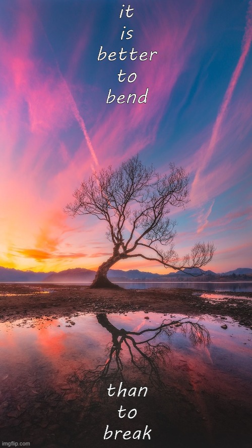 bend, survive, and grow like this tree. | it is better to bend; than to break | image tagged in wanaka tree,depression,positive thinking,positivity,stay positive,keep calm | made w/ Imgflip meme maker