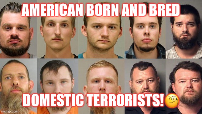 Homegrown Terror | AMERICAN BORN AND BRED; DOMESTIC TERRORISTS!🧐 | image tagged in terrorists,racist,donald trump,trump supporters,maga,basket of deplorables | made w/ Imgflip meme maker