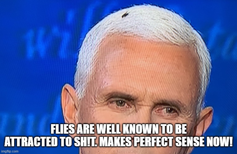Pence Fly | FLIES ARE WELL KNOWN TO BE ATTRACTED TO SH!T. MAKES PERFECT SENSE NOW! | image tagged in pence fly | made w/ Imgflip meme maker