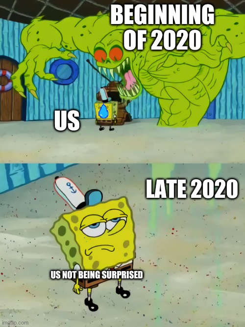 Ghost not scaring Spongebob | BEGINNING OF 2020; US; LATE 2020; US NOT BEING SURPRISED | image tagged in ghost not scaring spongebob | made w/ Imgflip meme maker