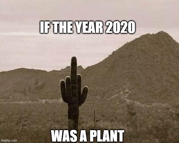 Year 2020 | IF THE YEAR 2020; WAS A PLANT | image tagged in year,2020 | made w/ Imgflip meme maker