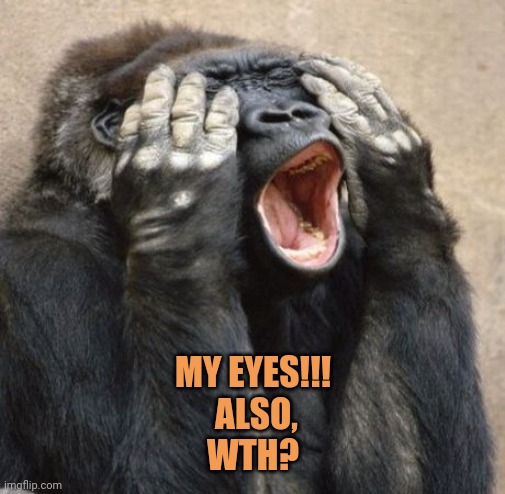 My Eyes Gorilla | MY EYES!!!
 ALSO,
WTH? | image tagged in my eyes gorilla | made w/ Imgflip meme maker