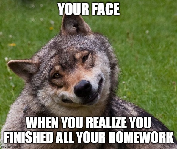 Happy Wolf | YOUR FACE; WHEN YOU REALIZE YOU FINISHED ALL YOUR HOMEWORK | image tagged in wolf | made w/ Imgflip meme maker
