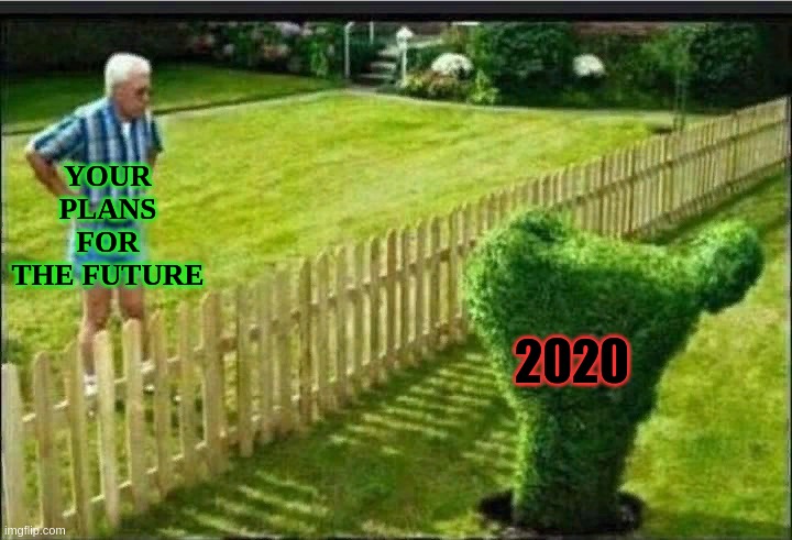 YOUR PLANS FOR THE FUTURE; 2020 | image tagged in 2020,memes,in your face | made w/ Imgflip meme maker