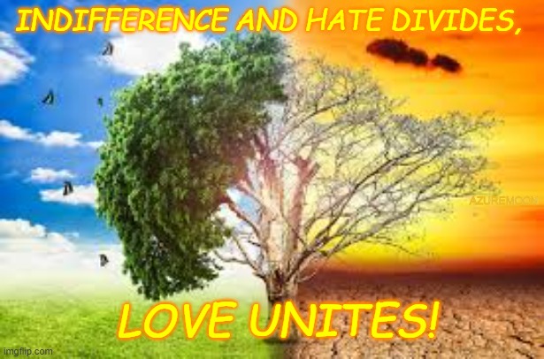 TRUTH HEALING HEARTS | INDIFFERENCE AND HATE DIVIDES, AZUREMOON; LOVE UNITES! | image tagged in inspire,inspirational quote,i love you,love wins,overjoyed,inspirational memes | made w/ Imgflip meme maker