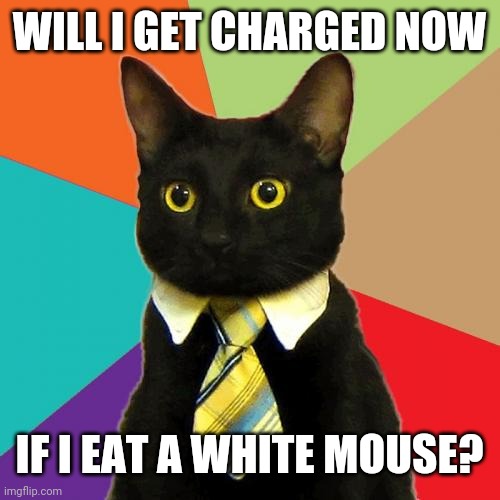 Business Cat | WILL I GET CHARGED NOW; IF I EAT A WHITE MOUSE? | image tagged in memes,business cat | made w/ Imgflip meme maker