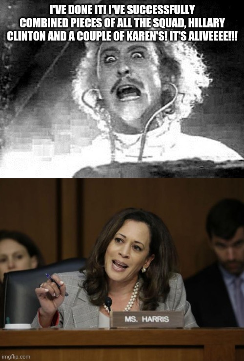 I'VE DONE IT! I'VE SUCCESSFULLY COMBINED PIECES OF ALL THE SQUAD, HILLARY CLINTON AND A COUPLE OF KAREN'S! IT'S ALIVEEEE!!! | image tagged in dr frankenstein,kamala harris | made w/ Imgflip meme maker
