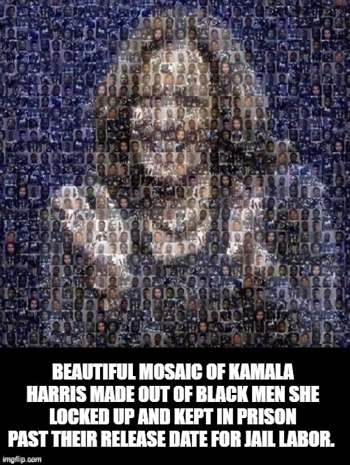 Kamala Harris Grandfather Was A Slave Owner. Kamala Kept Prisoners In Jail For Labor! hmmm | BEAUTIFUL MOSAIC OF KAMALA HARRIS MADE OUT OF BLACK MEN SHE LOCKED UP AND KEPT IN PRISON PAST THEIR RELEASE DATE FOR JAIL LABOR. | image tagged in stupid liberals,kamala harris | made w/ Imgflip meme maker