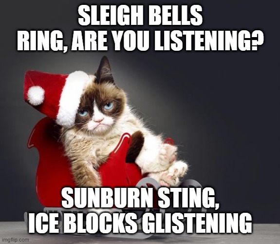 Grumpy Cat Christmas HD | SLEIGH BELLS RING, ARE YOU LISTENING? SUNBURN STING, ICE BLOCKS GLISTENING | image tagged in grumpy cat christmas hd,memes,cats,meme,grumpy cat,christmas | made w/ Imgflip meme maker