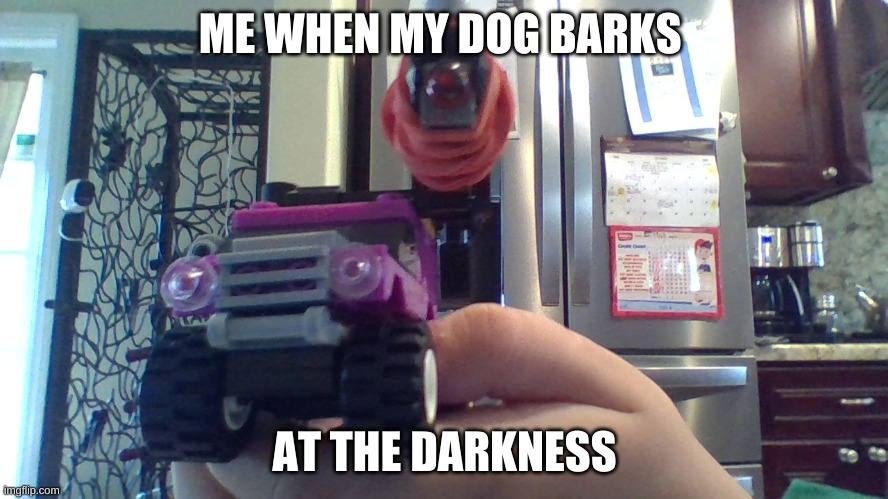 ME WHEN MY DOG BARKS; AT THE DARKNESS | image tagged in scary | made w/ Imgflip meme maker