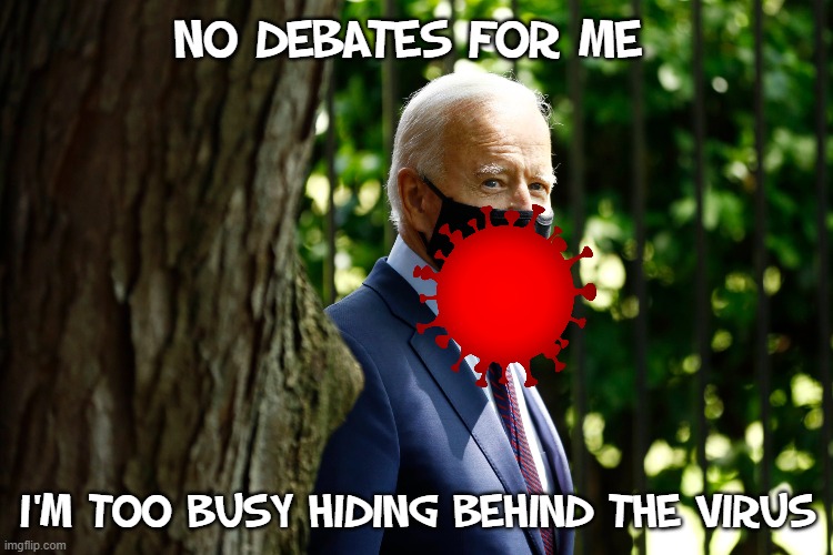 Biden is hidin' like a chicken | No debates for me; I'm too busy hiding behind the virus | image tagged in joe biden,coronavirus,presidential debate | made w/ Imgflip meme maker