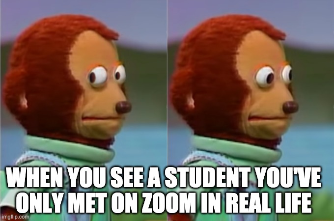 Seeing Zoom Student IRL | WHEN YOU SEE A STUDENT YOU'VE ONLY MET ON ZOOM IN REAL LIFE | image tagged in nervous monkey hd,teaching,zoom | made w/ Imgflip meme maker