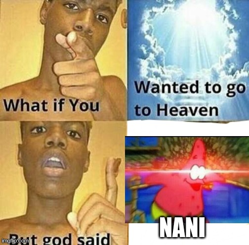 JustUrOrdinaryDay | NANI | image tagged in what if you wanted to go to heaven | made w/ Imgflip meme maker