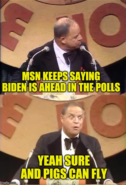 Don Rickles Roast | MSN KEEPS SAYING BIDEN IS AHEAD IN THE POLLS YEAH SURE AND PIGS CAN FLY | image tagged in don rickles roast | made w/ Imgflip meme maker