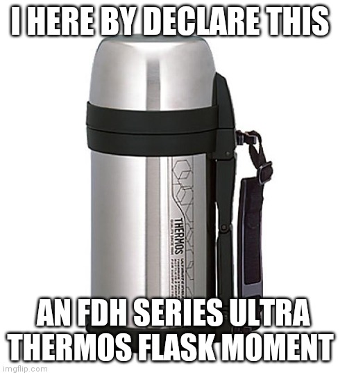 FDH Series Ultra Thermos Flask | I HERE BY DECLARE THIS; AN FDH SERIES ULTRA THERMOS FLASK MOMENT | image tagged in fun | made w/ Imgflip meme maker