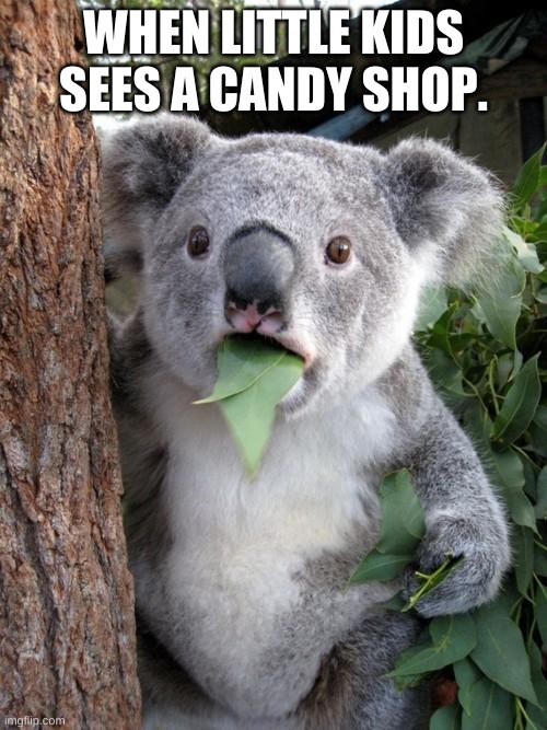 Surprised Koala | WHEN LITTLE KIDS SEES A CANDY SHOP. | image tagged in memes,surprised koala | made w/ Imgflip meme maker