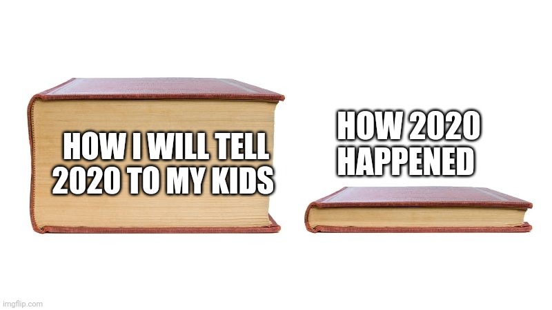 thick book thin book | HOW I WILL TELL 2020 TO MY KIDS; HOW 2020 HAPPENED | image tagged in thick book thin book | made w/ Imgflip meme maker