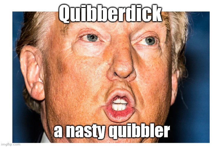 Quibberdick | Quibberdick; a nasty quibbler | image tagged in trump mouth | made w/ Imgflip meme maker