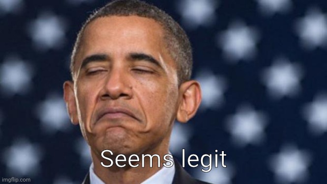 "Seems Legit" Obama | Seems legit | image tagged in seems legit obama | made w/ Imgflip meme maker