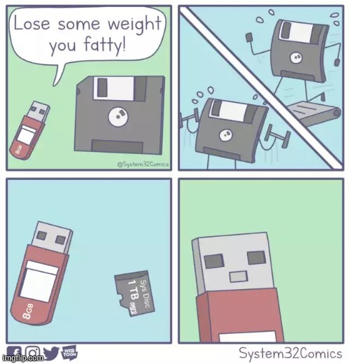 Chips | image tagged in comics,funny,chips,diet | made w/ Imgflip meme maker