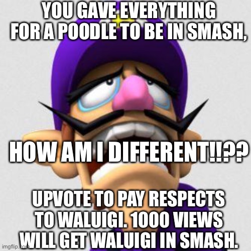 COME ON, NINTENDO!! | YOU GAVE EVERYTHING FOR A POODLE TO BE IN SMASH, HOW AM I DIFFERENT!!?? UPVOTE TO PAY RESPECTS TO WALUIGI. 1000 VIEWS WILL GET WALUIGI IN SMASH. | image tagged in sad waluigi | made w/ Imgflip meme maker