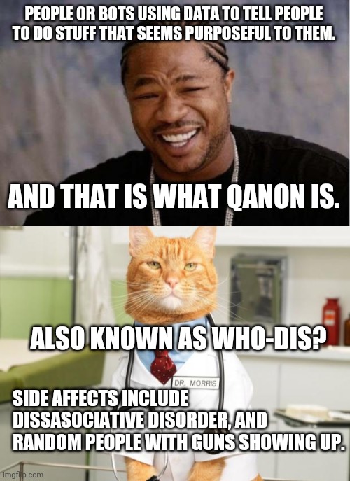 PEOPLE OR BOTS USING DATA TO TELL PEOPLE TO DO STUFF THAT SEEMS PURPOSEFUL TO THEM. AND THAT IS WHAT QANON IS. ALSO KNOWN AS WHO-DIS? SIDE AFFECTS INCLUDE DISSASOCIATIVE DISORDER, AND RANDOM PEOPLE WITH GUNS SHOWING UP. | image tagged in memes,yo dawg heard you,cat doctor | made w/ Imgflip meme maker