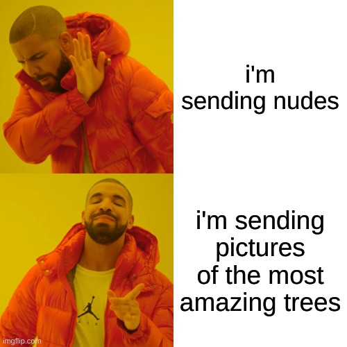 Pictures of the Most Amazing Trees > Nudes |  i'm sending nudes; i'm sending pictures of the most amazing trees | image tagged in memes,drake hotline bling | made w/ Imgflip meme maker