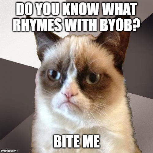 Musically Malicious Grumpy Cat | DO YOU KNOW WHAT RHYMES WITH BYOB? BITE ME | image tagged in musically malicious grumpy cat,grumpy cat,memes,music meme,cats,funny | made w/ Imgflip meme maker