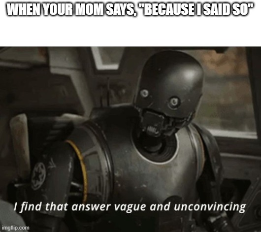 I find that answer vague and unconvincing | WHEN YOUR MOM SAYS, "BECAUSE I SAID SO" | image tagged in i find that answer vague and unconvincing | made w/ Imgflip meme maker