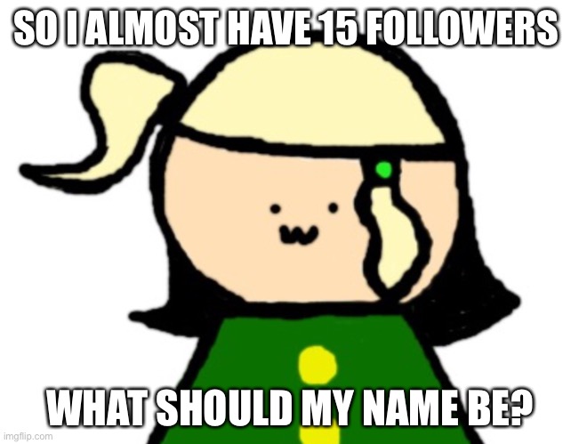 Pls suggest | SO I ALMOST HAVE 15 FOLLOWERS; WHAT SHOULD MY NAME BE? | made w/ Imgflip meme maker