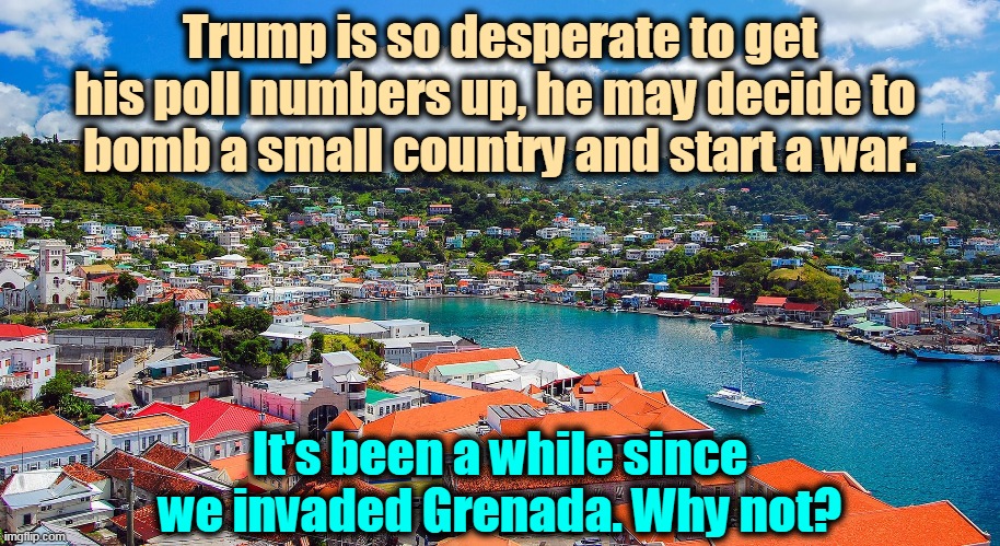 Can you arrest a president for starting a war while high? | Trump is so desperate to get his poll numbers up, he may decide to 
bomb a small country and start a war. It's been a while since we invaded Grenada. Why not? | image tagged in trump,desperate,loser,war,selfish | made w/ Imgflip meme maker