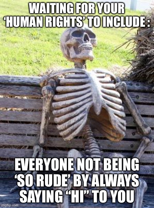 White peoples rights | WAITING FOR YOUR ‘HUMAN RIGHTS’ TO INCLUDE :; EVERYONE NOT BEING ‘SO RUDE’ BY ALWAYS SAYING “HI” TO YOU | image tagged in memes,waiting skeleton,memes | made w/ Imgflip meme maker