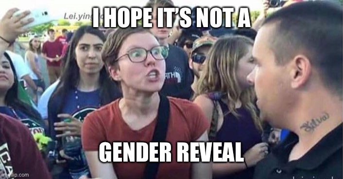 Did you just assume my gender | I HOPE IT’S NOT A GENDER REVEAL | image tagged in did you just assume my gender | made w/ Imgflip meme maker