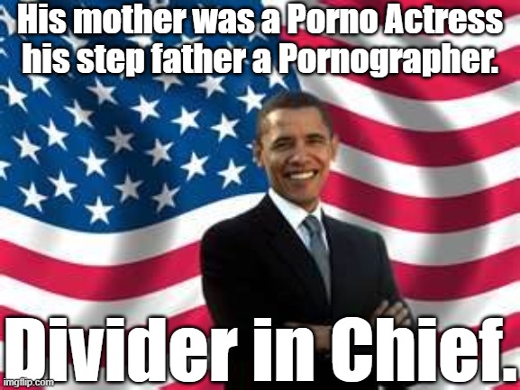 Obama Meme | His mother was a Porno Actress his step father a Pornographer. Divider in Chief. | image tagged in memes,obama | made w/ Imgflip meme maker