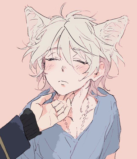 High Quality catboy for your catboy needs Blank Meme Template