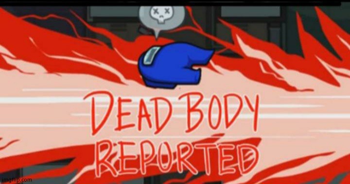 Dead body reported | image tagged in dead body reported | made w/ Imgflip meme maker