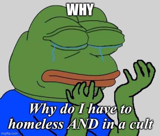 Pepe Homeless |  WHY; Why do I have to homeless AND in a cult | image tagged in pepe cry,pepe,homless,man is pepe | made w/ Imgflip meme maker