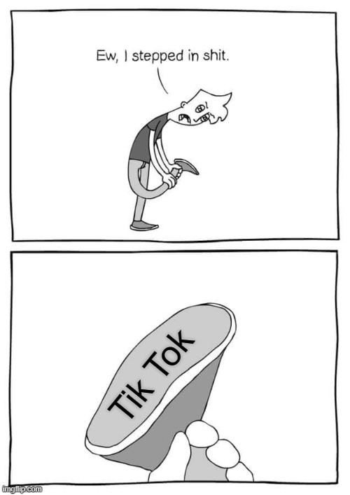 Ew I stepped in shit | Tik Tok | image tagged in ew i stepped in shit meme,memes,funny,so true memes | made w/ Imgflip meme maker