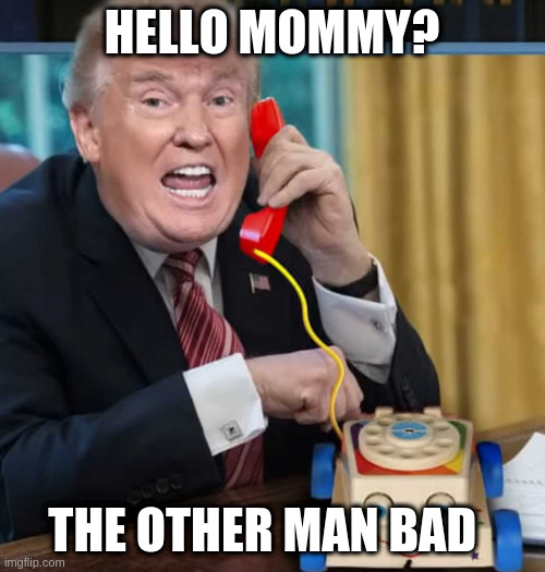 I'm sure you're not all like him and we all have our own opinions which means the two party system is not great | HELLO MOMMY? THE OTHER MAN BAD | image tagged in i'm the president,mommy,bad man bad,2020,covid | made w/ Imgflip meme maker