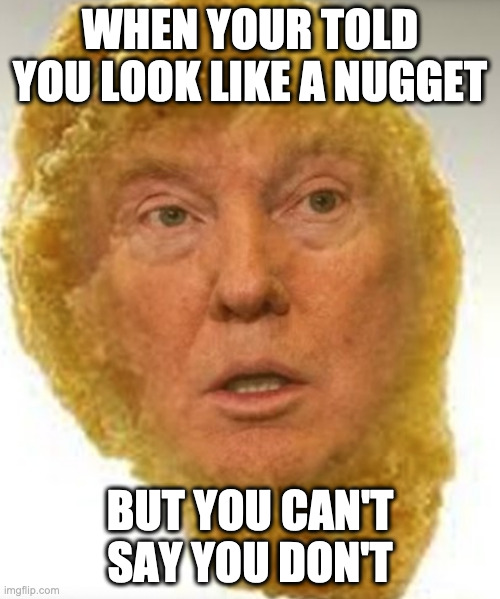 Donald Chicken Nugget | WHEN YOUR TOLD YOU LOOK LIKE A NUGGET; BUT YOU CAN'T SAY YOU DON'T | image tagged in memes | made w/ Imgflip meme maker