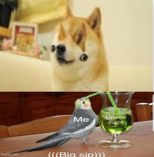 The classic | image tagged in doge | made w/ Imgflip meme maker